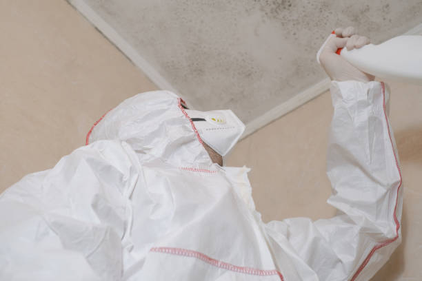 Best Residential Mold Removal  in Preston, TX